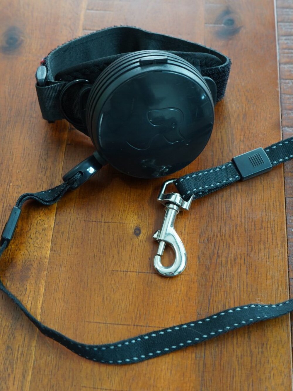Idea Pet Small Leash